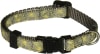 Petmate Collar Floral Yellow XS1