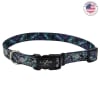 Coastal Lazer Brite Collar Galaxy Perro XS1