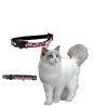 Collar Cat Glow Negro1