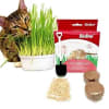 Cat Grass Kit Bioline 12 gr1