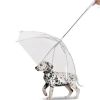 Paraguas Para Perro con Cadena Para Paseo2
