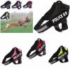 Arnes Liso Police K9 1