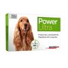 Power 11 a 20 kg1