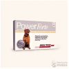 Power 41 a 60 kg1