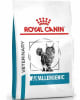 Royal Canin Anallergenic De Gato 2 Kg1