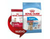 Royal Canin Medium Puppy3