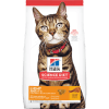 Hills Felino Adult Light1