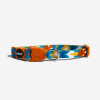 Zee.cat Collar Yansun1