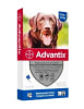 ADVANTIX 25 A 40 KG 4ML1