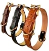 Collar Eco Cuero Con Diseño Troquelado Para Perro1