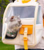 Mochila de Transporte para Gato1