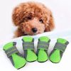 Zapatos para Perros 2