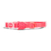 Zee.Cat Neopro Bubblegum Cat Collar Para Gato Impermeable1