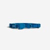 Neopro Blue Cat Collar para Gato Impermeable1