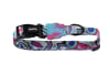 Zee.Dog Blast Collar Collar Para Perro1