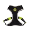 Zee.Dog Nox Adjustable Mesh Plus Harness3
