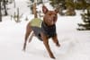 Ruffwear Climate Changer Pullover7