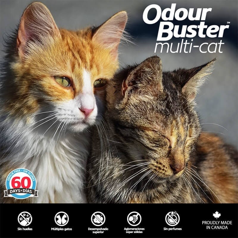 odour buster multi cat
