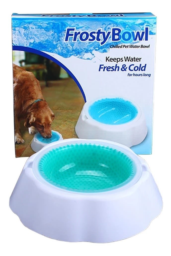 are elevated food bowls better for cats CAT Corner Bowls