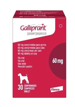 Galliprant 60 mg 30 comprimidos | Farmacia Veterinaria Arkanet