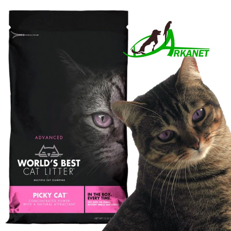 World's best Picky Cat Arena Sanitaria Para Gato Attractant Farmacia