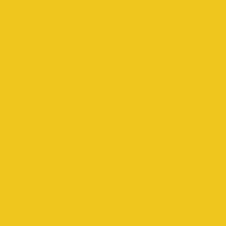 PINTURA CHALKY LOOK INDIA GOLD PINTURA CHALKY LOOK INDIA GOLD
