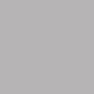 PINTURA CHALKY LOOK PARIS GREY PINTURA CHALKY LOOK PARIS GREY