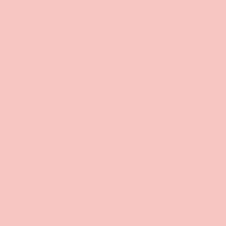 PINTURA CHALKY LOOK PRETTY BALLERINA PINTURA CHALKY LOOK PRETTY BALLERINA