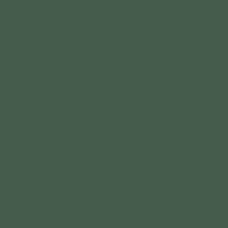 PINTURA CHALKY LOOK THE GREEN QUEEN PINTURA CHALKY LOOK THE GREEN QUEEN