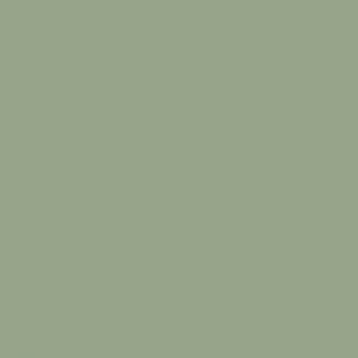 PINTURA CHALKY LOOK WELCOME GREEN PINTURA CHALKY LOOK WELCOME GREEN