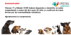 avisotemporal3751.webp