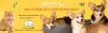 cyberpatitasescritorio3944.webp