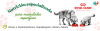 title