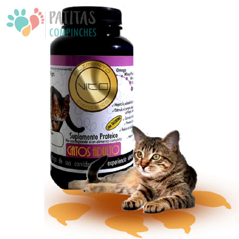 vitamina b en gatos