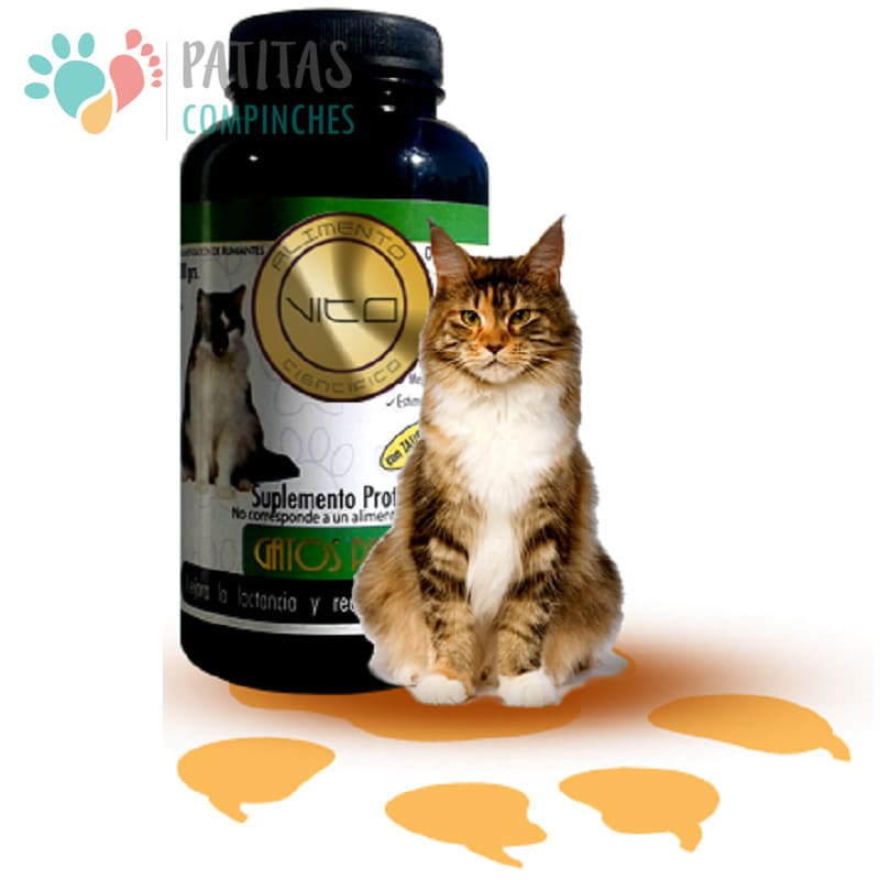 vitamina b en gatos