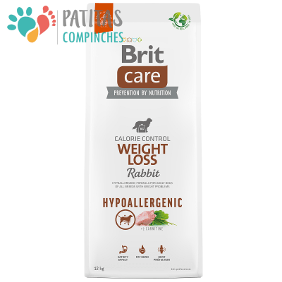 Brit Dog Weight Loss