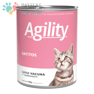 Agility Cat Kitten | Lata