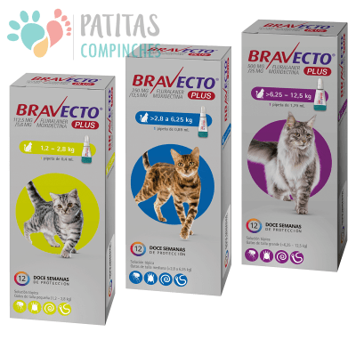 Bravecto Plus Gato