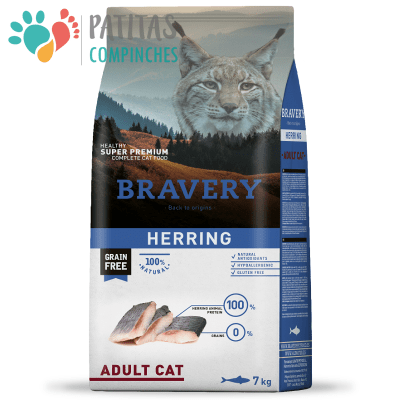Bravery Cat Adult Herring