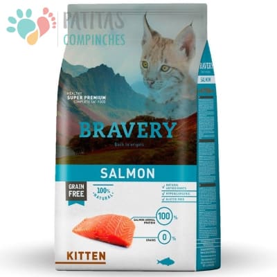Bravery Cat Kitten Salmón