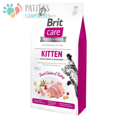 Brit Cat GF Kitten