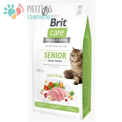 Brit Cat GF Senior