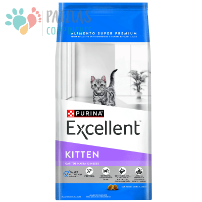 Excellent Cat Kitten