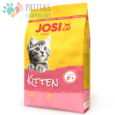 Josicat Kitten