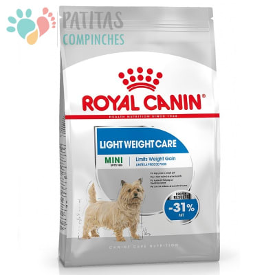 Royal Dog Light Mini
