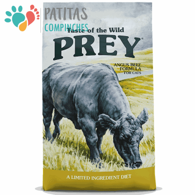 Prey Cat Angus