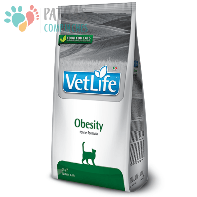 VetLife Cat Obesity 2k.