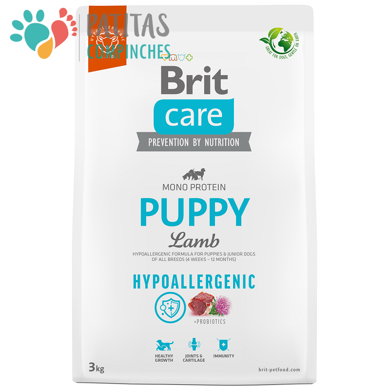 Brit Dog Lamb Puppy2