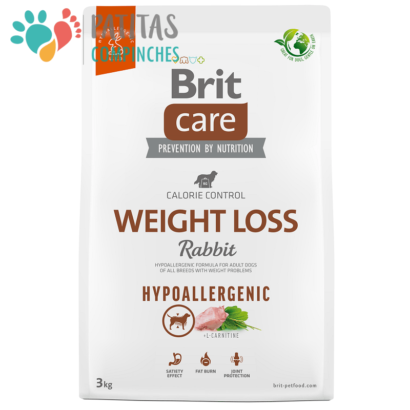 Brit Dog Weight Loss2
