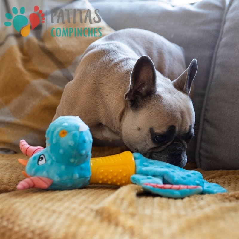 Wild Hunter | Dragon6